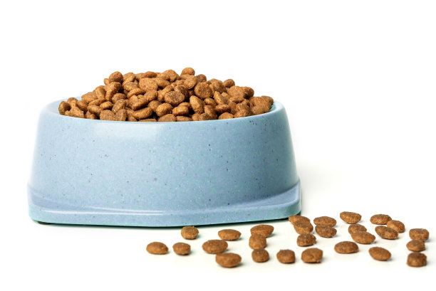 一碗白底的干猫粮。图片下载