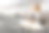 严肃的孟加拉猫是办公室里穿衬衫打领带的老板。图片下载
