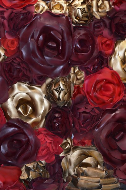 玫瑰花蕾背景图片下载