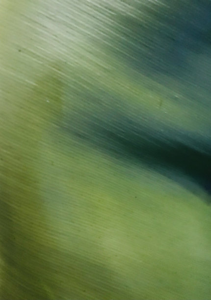 绿叶图案背景图片下载