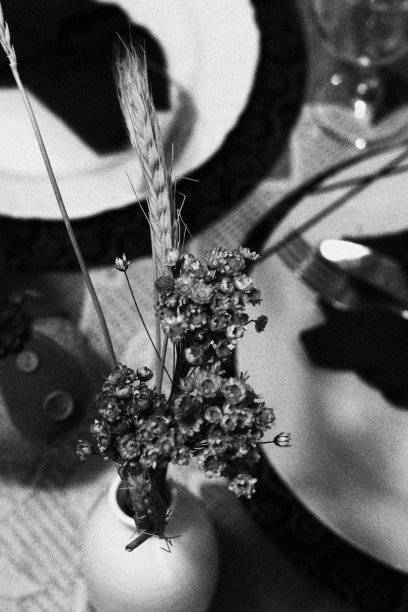 关注圣诞餐桌上的花盆。背景菜图片下载