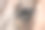 特写马头与详细的眼睛和长睫毛图片下载