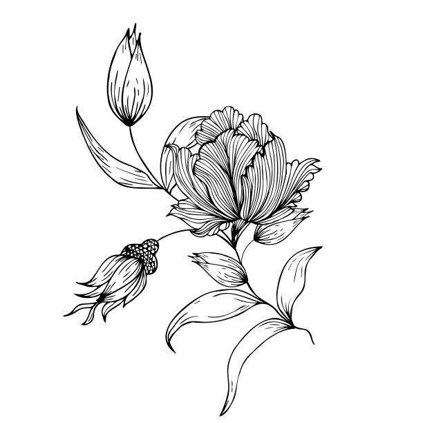 花卉成分，花卉背景与嫩花和枝条芽。手绘。用于风格化的装饰，邀请，卡片，海报，传单，打印在织物和纸张上，作为背景图片下载