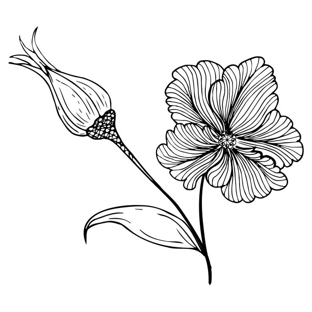 花卉成分，花卉背景与嫩花和枝条芽。手绘。用于风格化的装饰，邀请，卡片，海报，传单，打印在织物和纸张上，作为背景图片下载