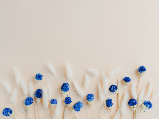 干花蓝色和米色分支边界米色背景图片下载