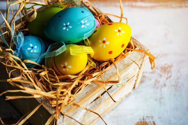 复活节卡片概念与彩色的鸡蛋图片下载
