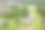 库里蒂巴天桂公园的航拍图片图片下载