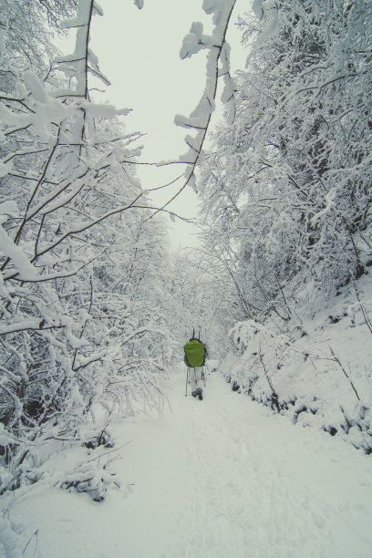 徒步旅行者穿过冬季森林风景照片图片下载