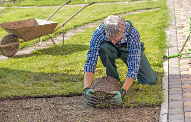 园林师为新草坪铺设草皮图片下载