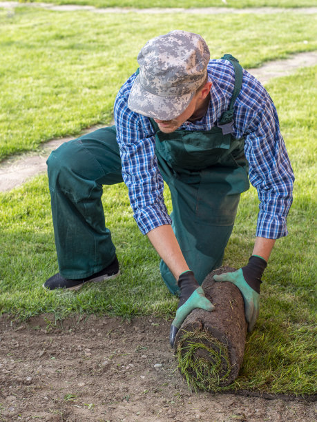 园林师为新草坪铺设草皮图片下载