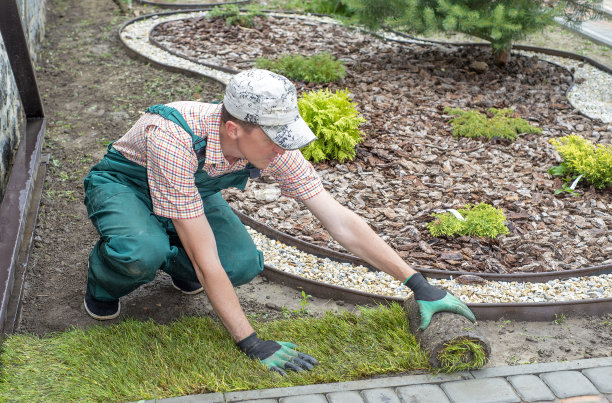 园林师为新草坪铺设草皮图片下载