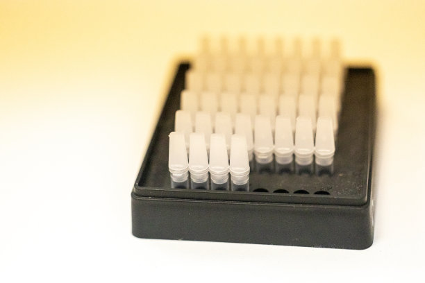 聚合酶链反应和琼脂糖凝胶电泳是应用于生物化学的一种凝胶电泳方法。图片下载