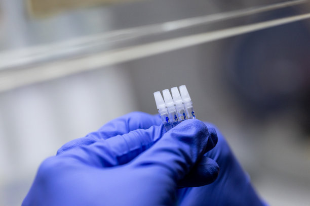 聚合酶链反应和琼脂糖凝胶电泳是应用于生物化学的一种凝胶电泳方法。图片下载