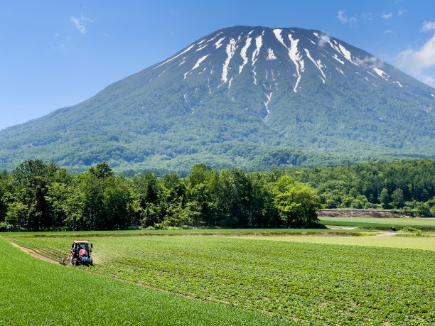 洋台山和春田图片下载