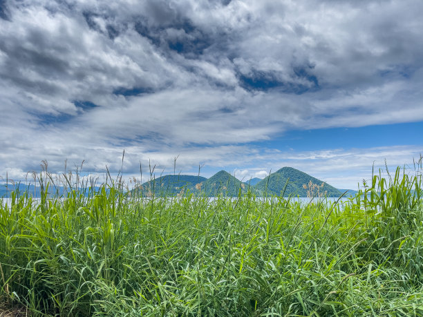 面对着托雅湖畔图片下载