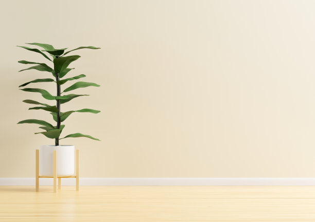 客厅有空间。活动时，有树和沙发。三维演示图片下载