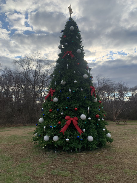 圣诞节的庆祝活动图片下载