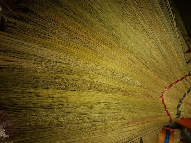 扫帚棒55图片下载