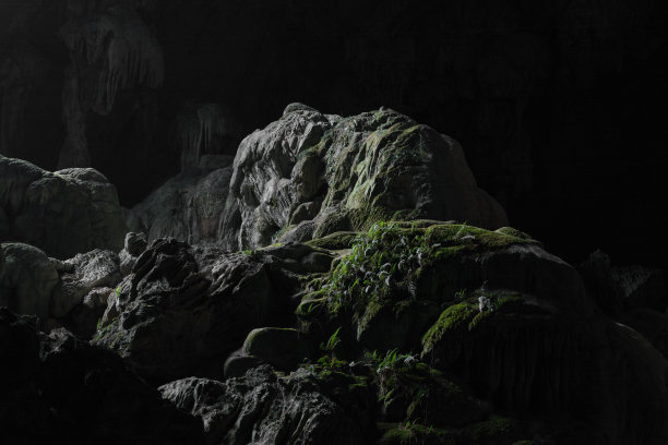 岩洞光线与苔藓图片下载