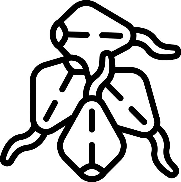 种子生长图标轮廓荞麦植物图片下载