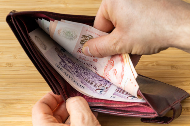 手从钱包里拿钱，新加坡钞票，经济和金融概念，物价上涨，新元价值图片下载