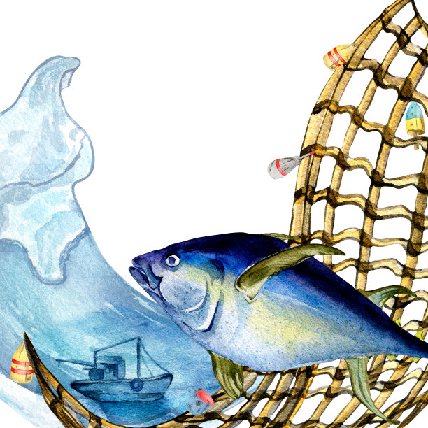构图金枪鱼和渔网水彩插图孤立在白色。图片下载