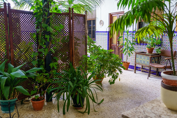塞维利亚的Ecija，典型的安达卢西亚庭院，花盆里的绿色植物，金属烤门和彩色瓷砖。图片下载