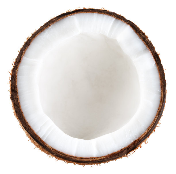 椰子半分离。白色背景上的椰子顶部视图。白可可碎，圆片。全景深。图片下载