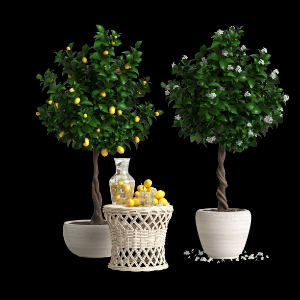 室内植物隔离在黑色背景的3d插图图片下载