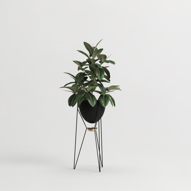 室内植物孤立在白色背景的3d插图图片下载