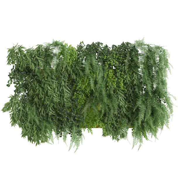 墙植物隔离在白色背景的3d插图图片下载