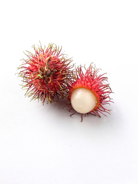 红毛丹图片下载