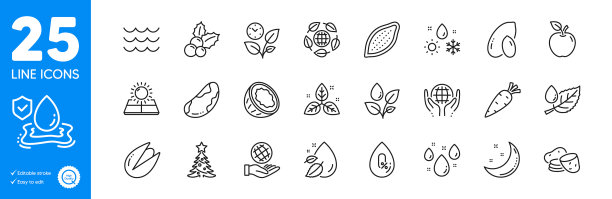 大纲图标集叶子巴西坚果和胡萝卜图片下载