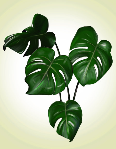 一个怪物的数字绘画。图片下载