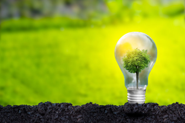 3D插图可再生能源概念地球日或环境保护保护生长在地面上的森林，帮助拯救地球。图片下载