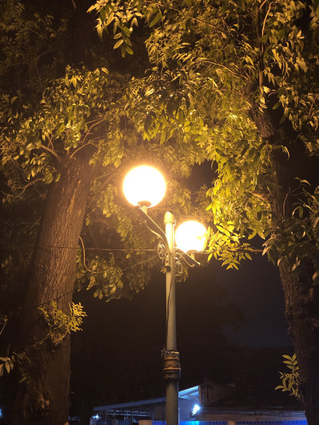 花园里的夜灯图片下载