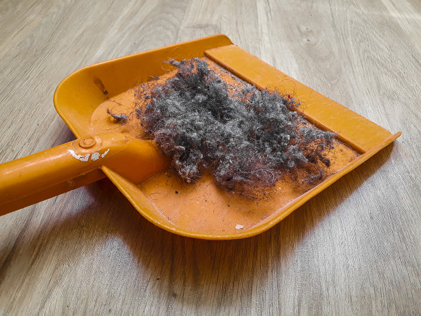 带灰尘的塑料铲图片下载