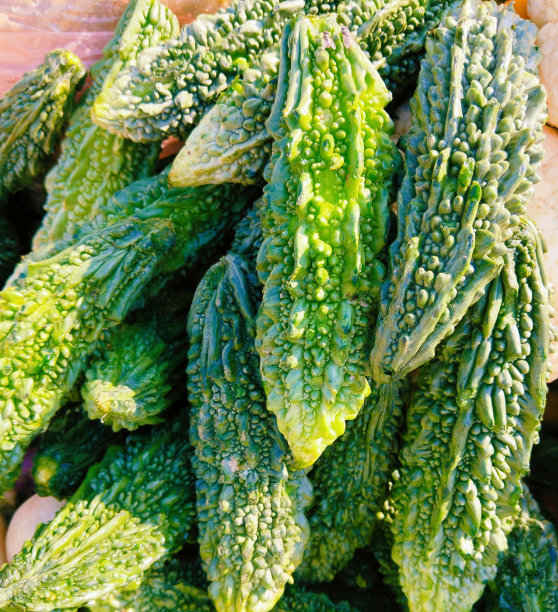 苦瓜苦瓜蔬菜食物堆苦苹果苦南瓜苦瓜苦瓜苦瓜苦瓜近景查看图像照片图片下载