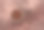 顶部视图的一个白色碗装满红色藜麦抵消在一个栗色的桌面。图片下载