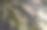 美丽的大麻植物背景图片下载