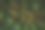 一只雄孔雀的羽毛特写图片下载