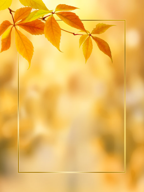 秋天的插图，金色的框架，高耸的树叶和复制空间。图片下载