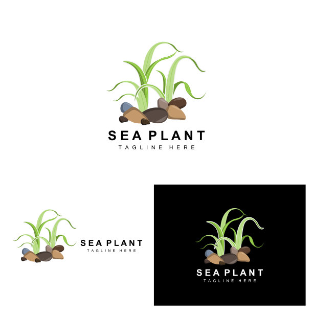 海藻标志，海洋植物矢量设计，杂货和自然保护图片下载