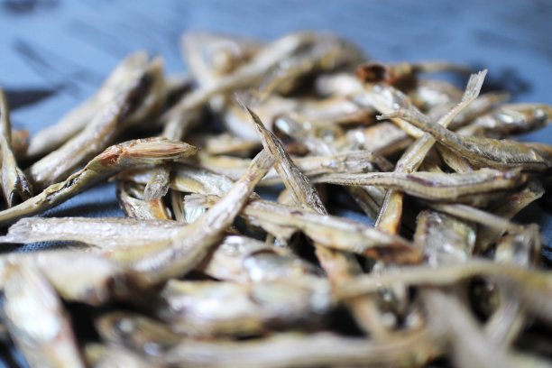 很多干沙丁鱼图片下载