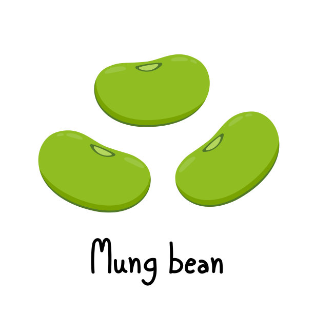 绿豆向量。白底绿豆。图片下载