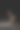 女网球运动员手持网球拍，将黄色网球抛起。图片下载