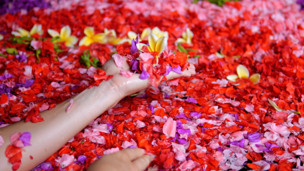 在女子进行芳香疗法的浴室里，花瓣漂浮着。女人的手从水中举起玫瑰花瓣。一个女人在有红花的浴缸里放松。芳香疗法概念图片下载