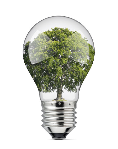 绿色能源概念。里面有绿树的灯泡。图片下载