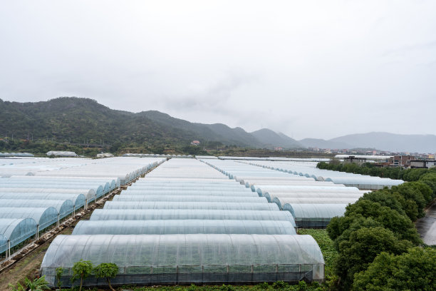 新型农村现代有机农业大棚图片下载