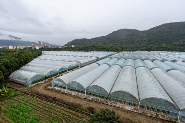 新型农村现代有机农业大棚图片下载